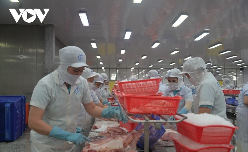 Tra fish exports set to rake in US$2 billion this year